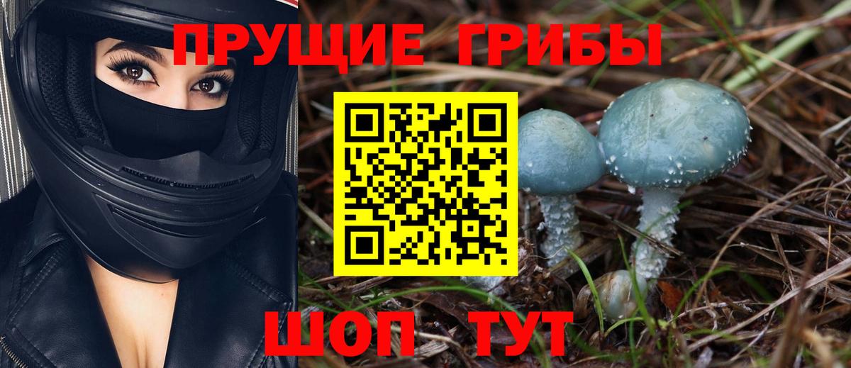 Галлюциногенные грибы мухоморы Владивосток