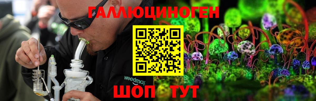 Галлюциногенные грибы Cubensis  Вход с VPN  Владивосток 